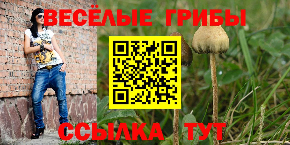 Галлюциногенные грибы Magic Shrooms  Вход с VPN  Галлюциногенные грибы Psilocybine cubensis  Дивногорск 